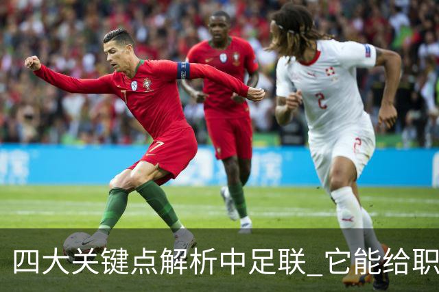 四大关键点解析中足联 它能给职业联赛带来哪些改变?